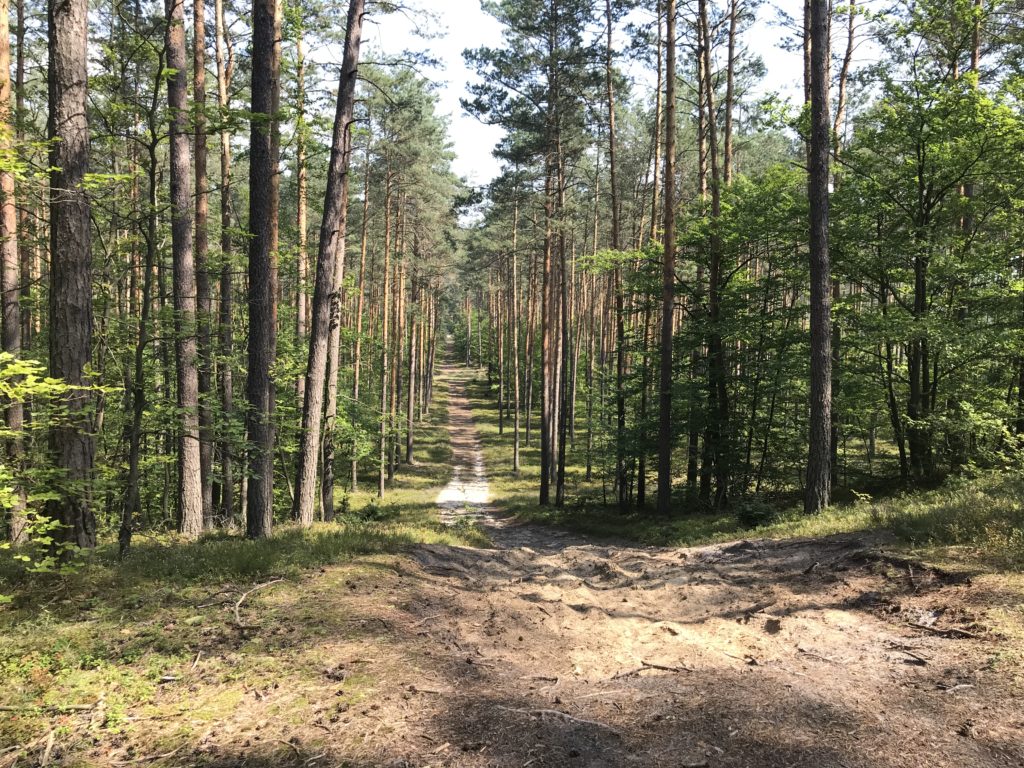 piasek zazwyczaj oznaczał: prędzej czy później zejdziesz z roweru🙂 fot. MR