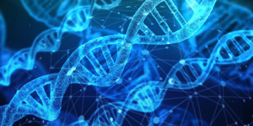 wyobrażenie podwójnej spirali-helisy materiału genetycznego DNA, ryc. Pixabay 3539309 geralt Gerd Altmann https://pixabay.com/pl/illustrations/d-3539309/